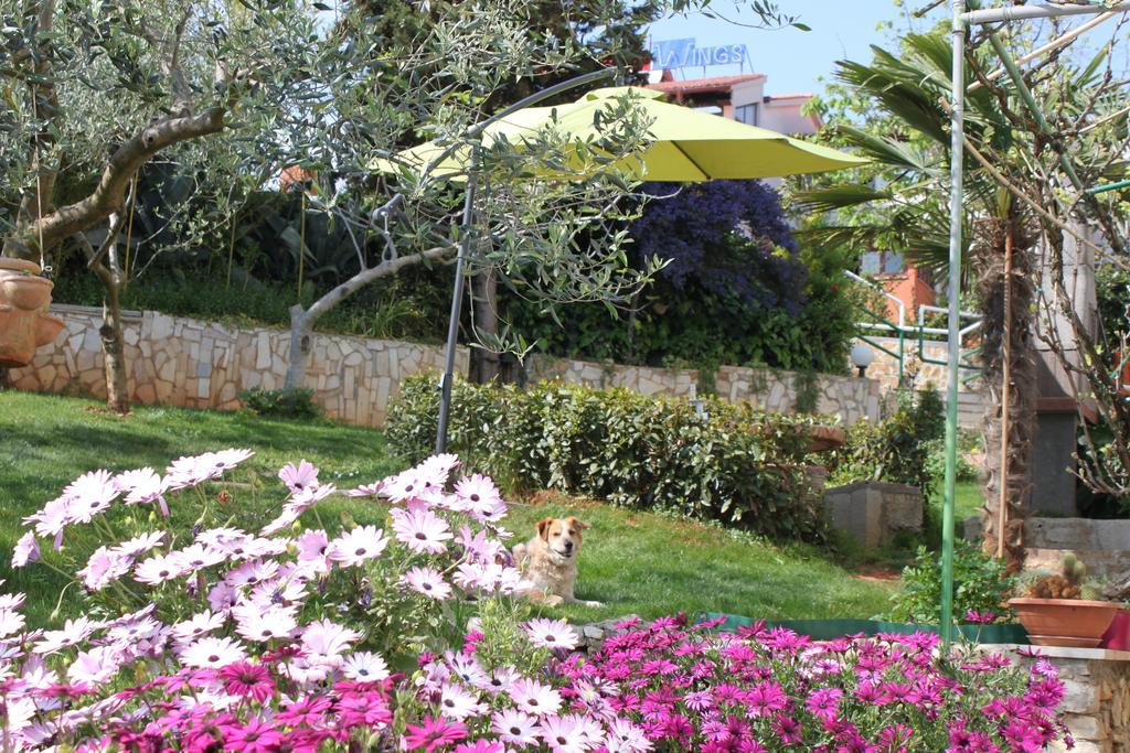 Apartamento Iva *