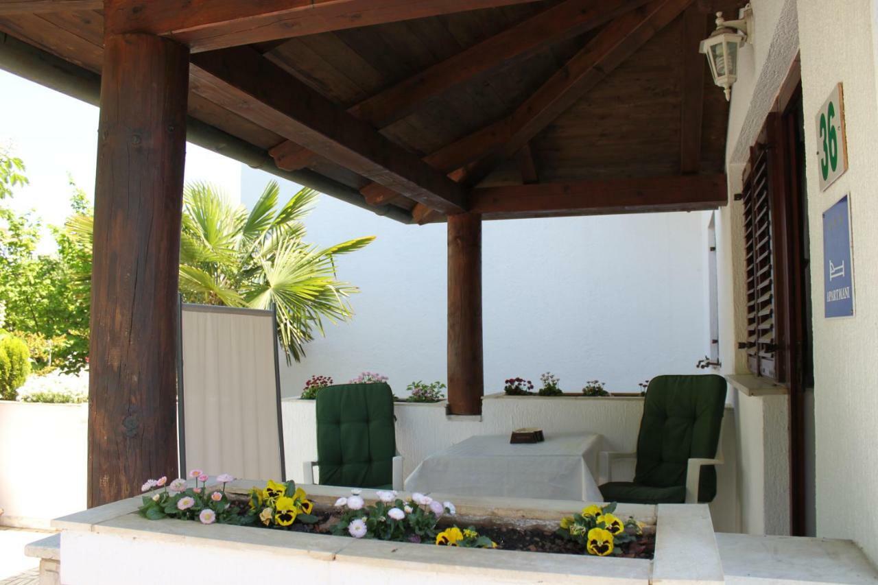 Iva Apartament