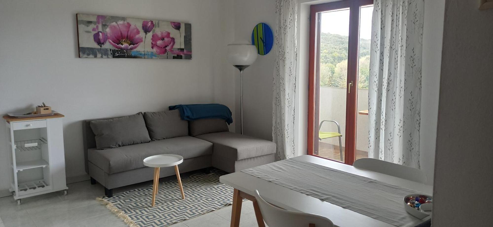 Apartment Iva