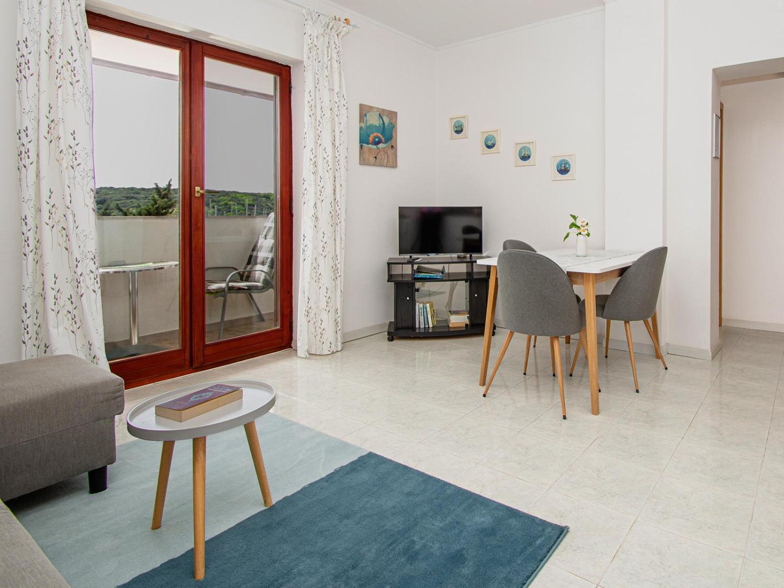 Apartment Iva *