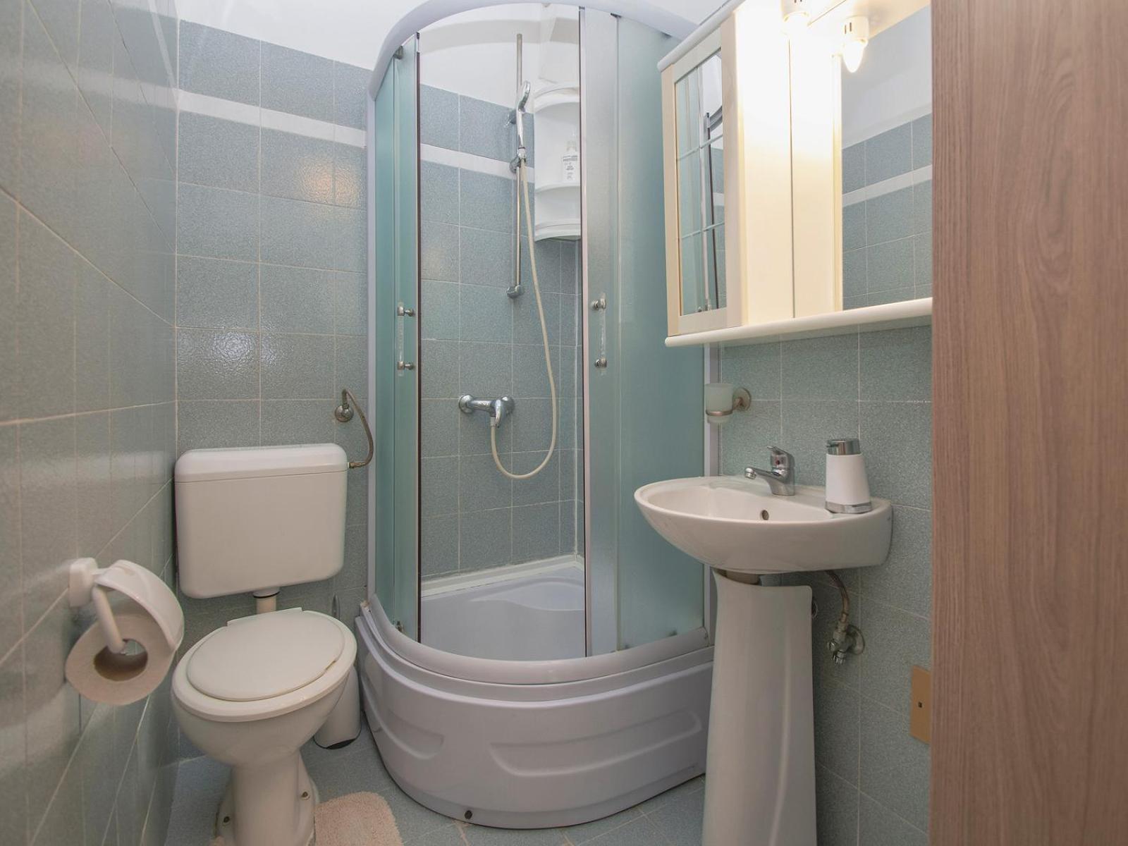 Apartment Iva *